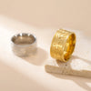 Bague Croix de Vie Ankh Horus argent